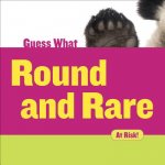 Round and Rare: Giant Panda