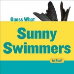 Sunny Swimmers: Monk Seal