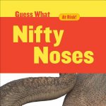 Nifty Noses: Elephant