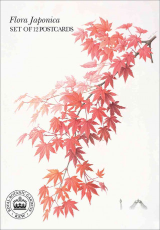 Flora Japonica: Postcard Book