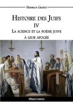Histoire des Juifs IV