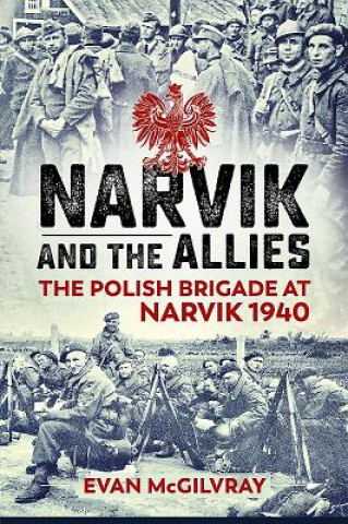 Narvik and the Allies