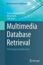 Multimedia Database Retrieval