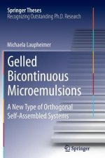 Gelled Bicontinuous Microemulsions