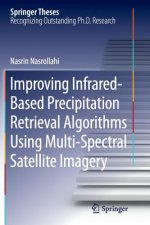Improving Infrared-Based Precipitation Retrieval Algorithms Using Multi-Spectral Satellite Imagery