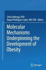 Molecular Mechanisms Underpinning the Development of Obesity