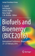 Biofuels and Bioenergy (BICE2016)