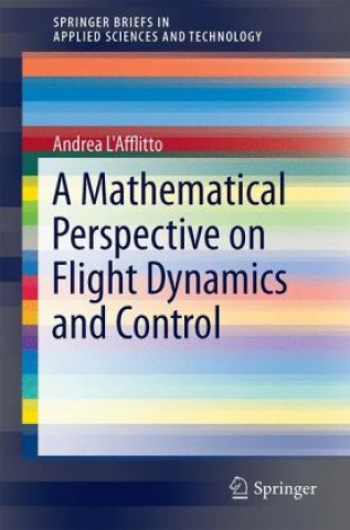 Mathematical Perspective on Flight Dynamics and Control