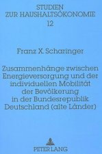 Zusammenhaenge zwischen Energieversorgung und der individuellen Mobilitaet der Bevoelkerung in der Bundesrepublik Deutschland (alte Laender)