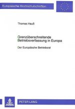 Grenzueberschreitende Betriebsverfassung in Europa