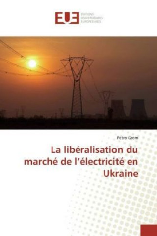 La libéralisation du marché de l'électricité en Ukraine