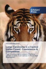 Large Carnivores in a Central Indian Forest: Coexistence & Competition