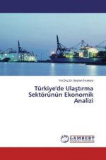 Türkiye'de Ulast rma Sektörünün Ekonomik Analizi