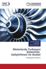 Motorlarda Turbosarz Sisteminin Gelistirilmesi Ve Analizi
