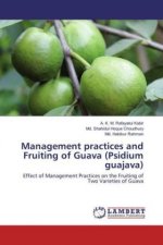 Management practices and Fruiting of Guava (Psidium guajava)