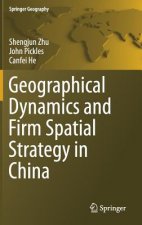 Geographical Dynamics and Firm Spatial Strategy in China