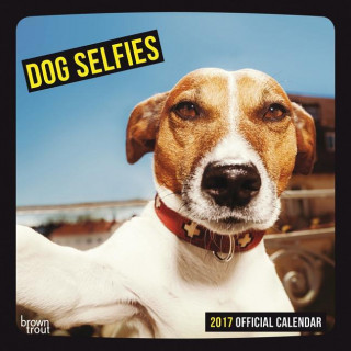 Dog Selfies 2017 Square