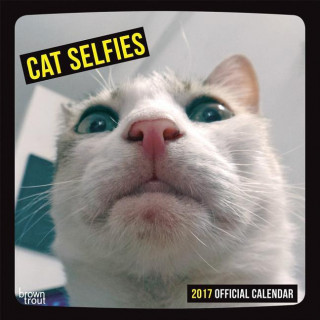 Cat Selfies 2017 Square