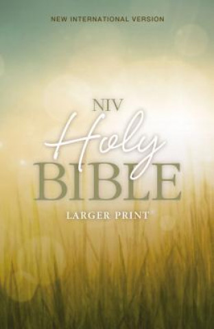 Holy Bible-NIV