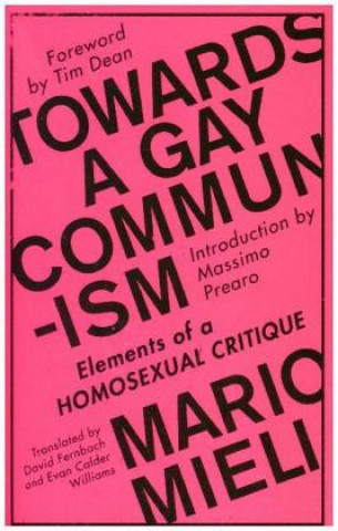 Towards a Gay Communism