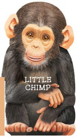 Little Chimp