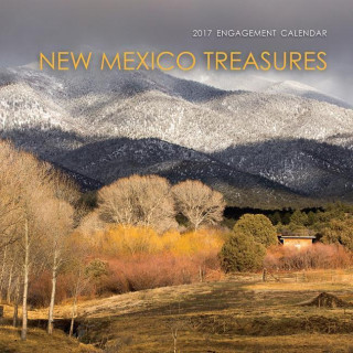 New Mexico Treasures 2017: Engagement Calendar