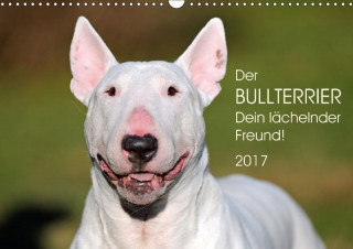 Der Bullterrier, Dein lächelnder Freund!AT-Version (Wandkalender 2017 DIN A3 quer)