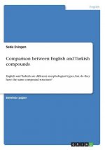 Comparison between English and Turkish compounds