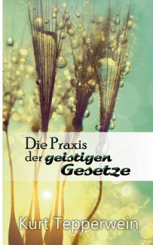 Praxis der geistigen Gesetze