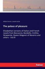 palace of pleasure