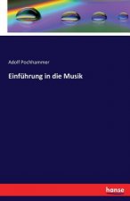 Einfuhrung in die Musik