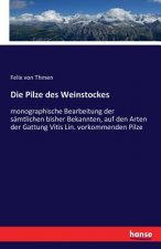 Pilze des Weinstockes