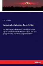 Japanische Meeres-Conchylien