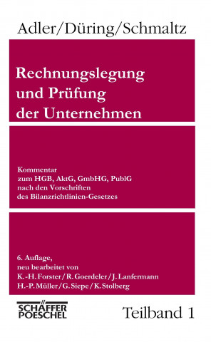 Rechnungslegung und Prüfung der Unternehmen, 6. Aufl., 1 Bd.