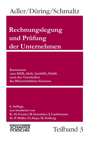 Rechnungslegung und Prüfung der Unternehmen, 6. Aufl., 3 Bd.