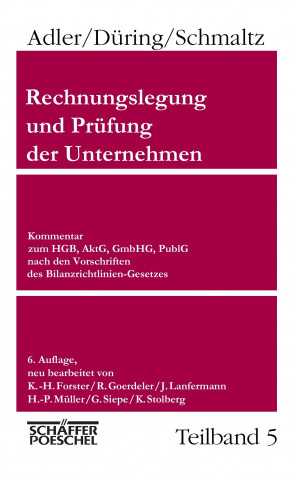 Rechnungslegung und Prüfung der Unternehmen, 6. Aufl., 5 Bd.