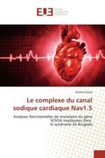 Le complexe du canal sodique cardiaque Nav1.5