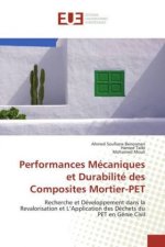 Performances Mécaniques et Durabilité des Composites Mortier-PET