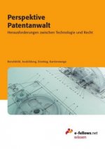 Perspektive Patentanwalt