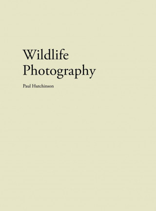 Wildlife Photography