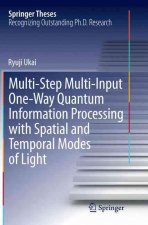 Multi-Step Multi-Input One-Way Quantum Information Processing with Spatial and Temporal Modes of Light