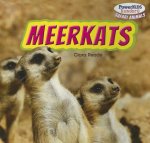 Meerkats