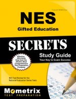 NES GIFTED EDUCATION SECRETS S