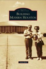 Building Modern Houston