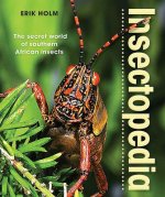 Insectopedia - The secret world of southern African insects