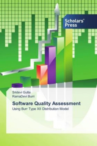 Software Quality Assessment
