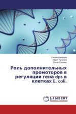 Rol' dopolnitel'nyh promotorov v regulyacii gena dps v kletkah E. coli.
