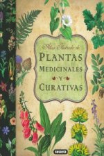 Plantas medicinales y curativas
