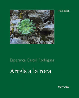 Arrels a la roca