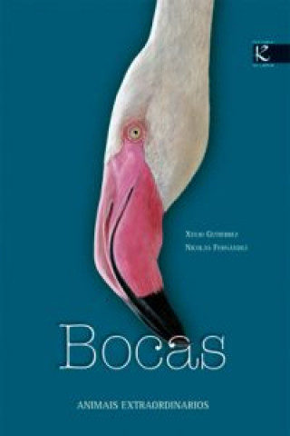 Bocas. Animais extraordinarios